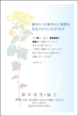 喪中はがき印刷 夢工房 おしゃれなモダンデザインで喪中はがきにも差をつけよう 今なら早割 Off 全国どこでも5千円以上送料無料でお届けします