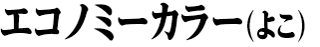 エコノミーカラー（よこ）