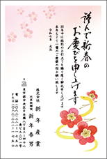 年賀状印刷 2~3色で表現
